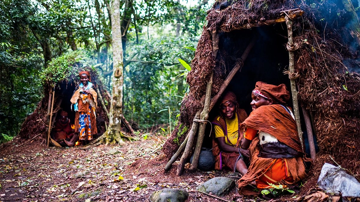 Bwindi Impenetrable National Park