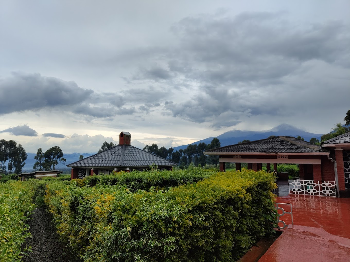 Budget Lodges for Gorilla Trekking
