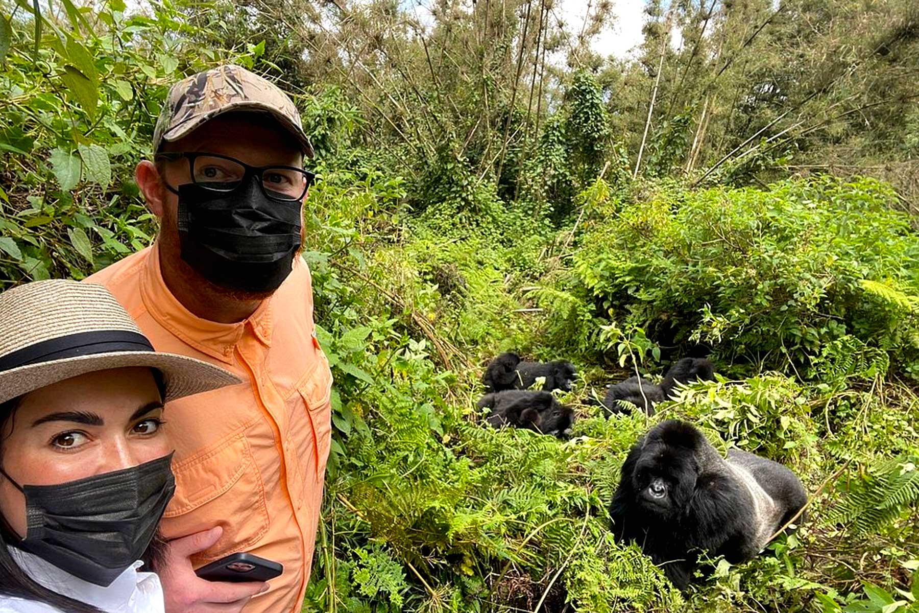 Günstiges Gorilla-Trekking in Afrika: Ein vollständiger Leitfaden für preisgünstige Gorilla-Safaris in Uganda, Ruanda und Kongo