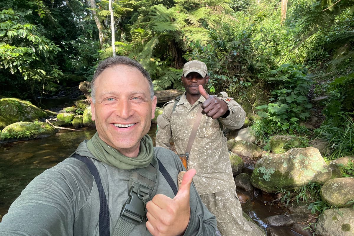 Warum Mountain Gorilla Safaris inkl Flug ab Europa immer beliebter werden