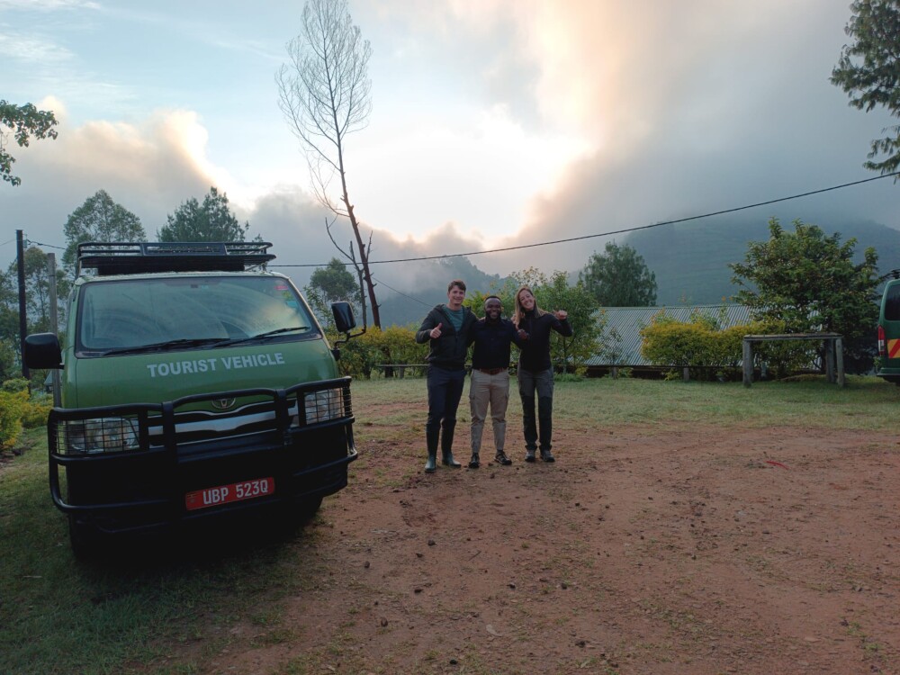 Choosing the Right Gorilla Safari Company