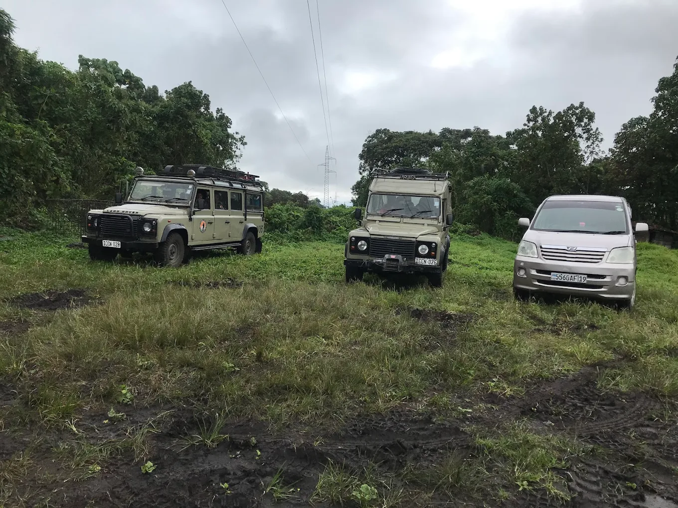 Best Gorilla Trekking Companies in Congo