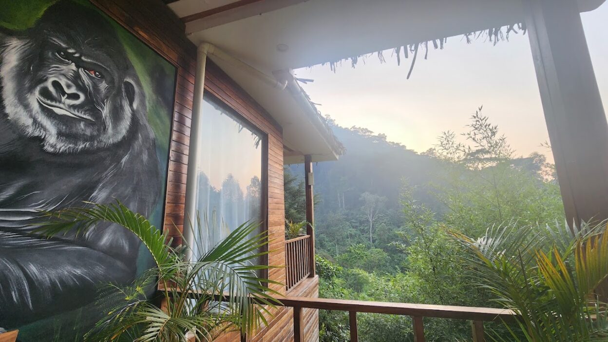 Budgetfreundliche Lodge mit malerischem Ausblick in Uganda oder Ruanda, ideal für Gorilla-Trekking-Reisende.